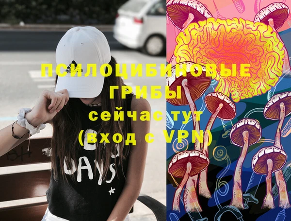 каннабис Аркадак