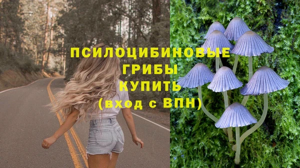 прущий лед Армянск