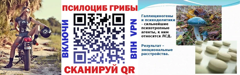 Псилоцибиновые грибы Psilocybe ОМГ ОМГ ССЫЛКА Орёл